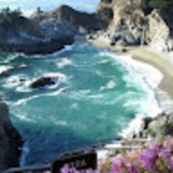 Meet your Posher, Amy - Picture 1 of 1